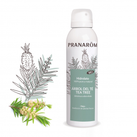 Hidrolato Árbol del té Tea Tree - 150 ml
