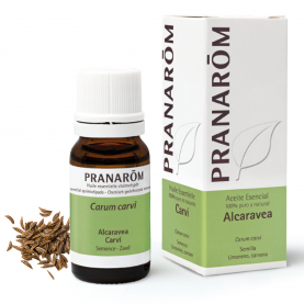 Alcaravea - 10 ml semilla