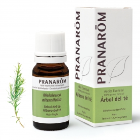 Árbol del té - 10 ml hoja