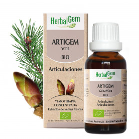 ARTIGEM - 30 ml