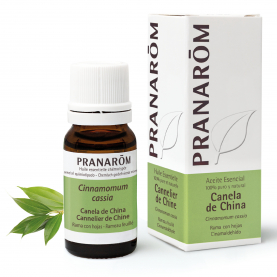 Canela de China - 10 ml