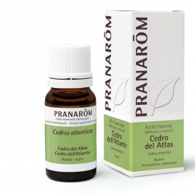 Cedro del Atlas - 10 ml