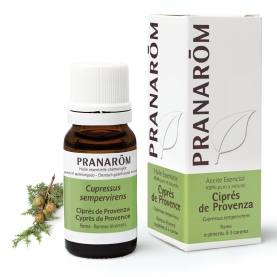 Ciprés de Provenza - 5 ml