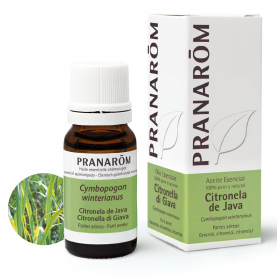 Citronela de Java - 10 ml