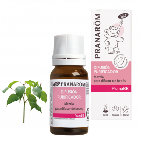Pranabb - Difusión Purificador - 10 ml