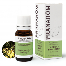 Eucalipto mentolado - 10 ml