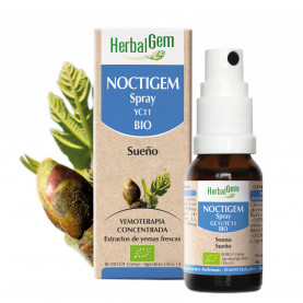 NOCTIGEM - Spray - 10 ml