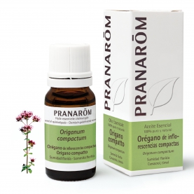Orégano de inflorescencias compactas - 10 ml