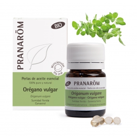 Orégano vulgar - 60 Minicápsulas
