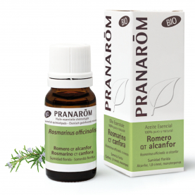 Romero qt alcanfor - 10 ml