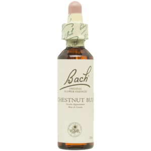 CHESTNUT BUD- FLORES DE BACH  20 ML