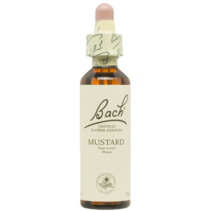 MUSTARD- FLORES DE BACH  20 ML