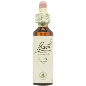 BEECH- FLORES DE BACH 03 20 ML