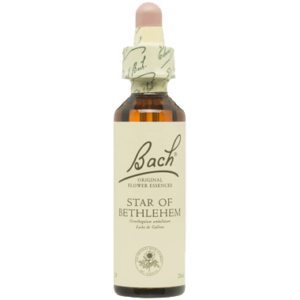 STAR OF BETHLEHEM- FLORES DE BACH 29  20 ML