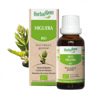 HIGUERA - 15 ml - Acidez y reflujo